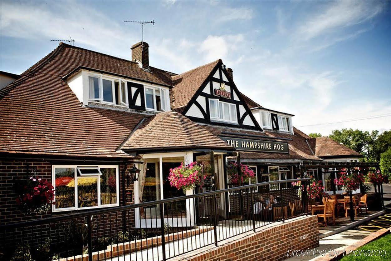 富勒汉普郡酒店 Clanfield  外观 照片 The Hampshire Poplar